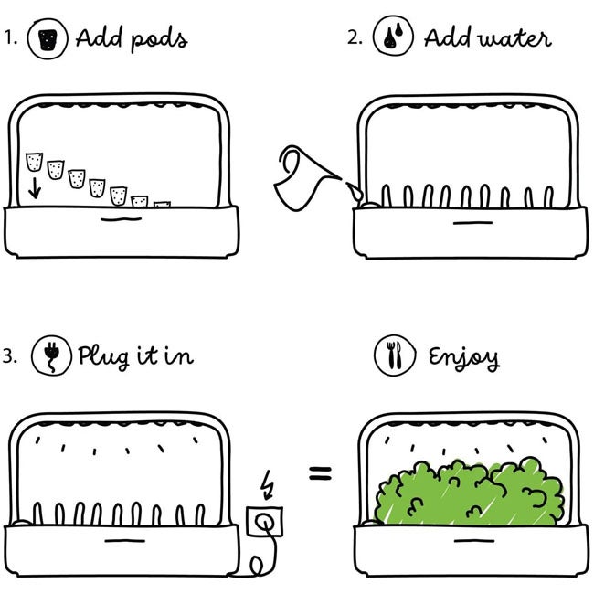 CLICK AND GROW OREGANO PLANT PODS