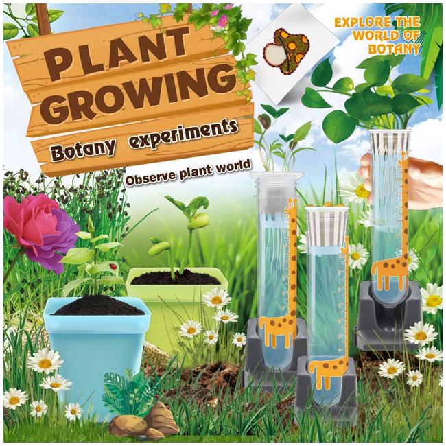 BIG BANG SCIENCE PLANT GROWING