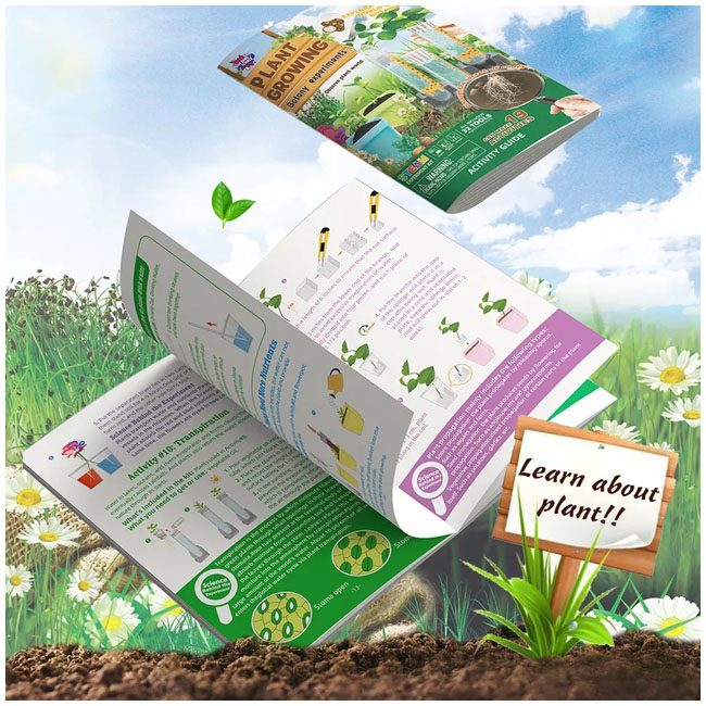 BIG BANG SCIENCE PLANT GROWING
