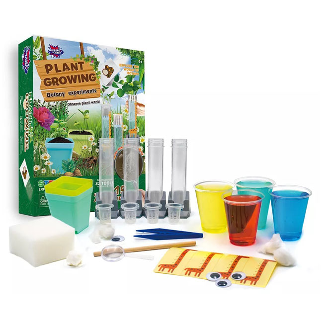 BIG BANG SCIENCE PLANT GROWING