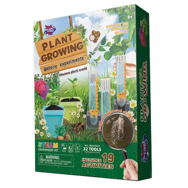 BIG BANG SCIENCE PLANT GROWING
