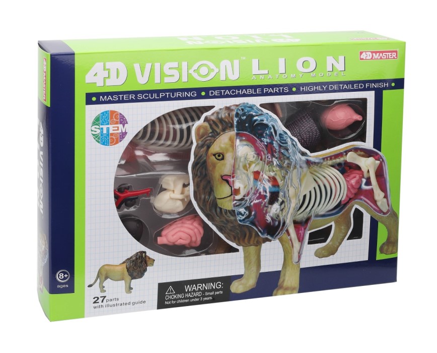 4D LION ANATOMY