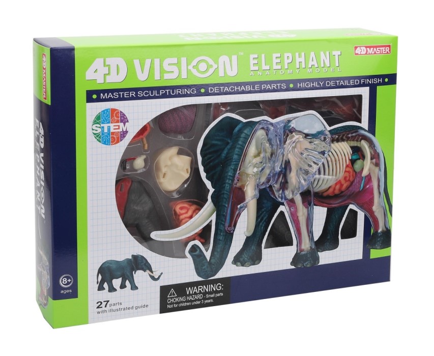 4D ELEPHANT ANATOMY
