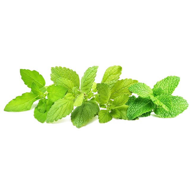 CLICK AND GROW SEEDS CALMING TEA MIX 9 PACK