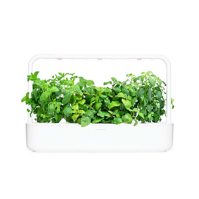 CLICK AND GROW SEEDS CALMING TEA MIX 9 PACK