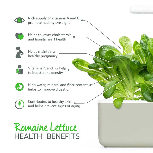 CLICK AND GROW PLANT PODS ROMAINE LETTUCE