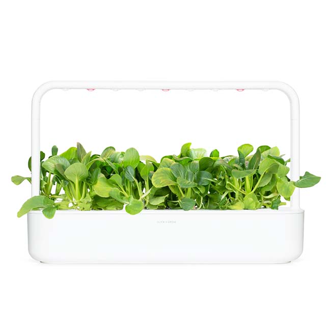 CLICK AND GROW PLANT PODS PAK CHOI
