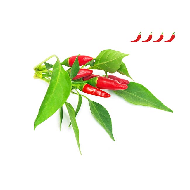 CLICK AND GROW PLANT PODS PIRI PIRI CHILI