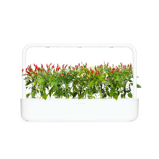 CLICK AND GROW PLANT PODS PIRI PIRI CHILI