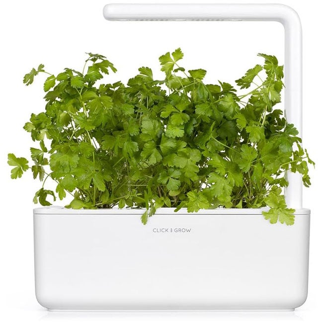 CLICK AND GROW PLANT PODS PLAIN PARSLEY