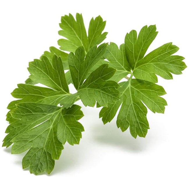 CLICK AND GROW PLANT PODS PLAIN PARSLEY