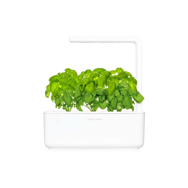 CLICK AND GROW PLANT POD 3-PACK LEMON BASIL