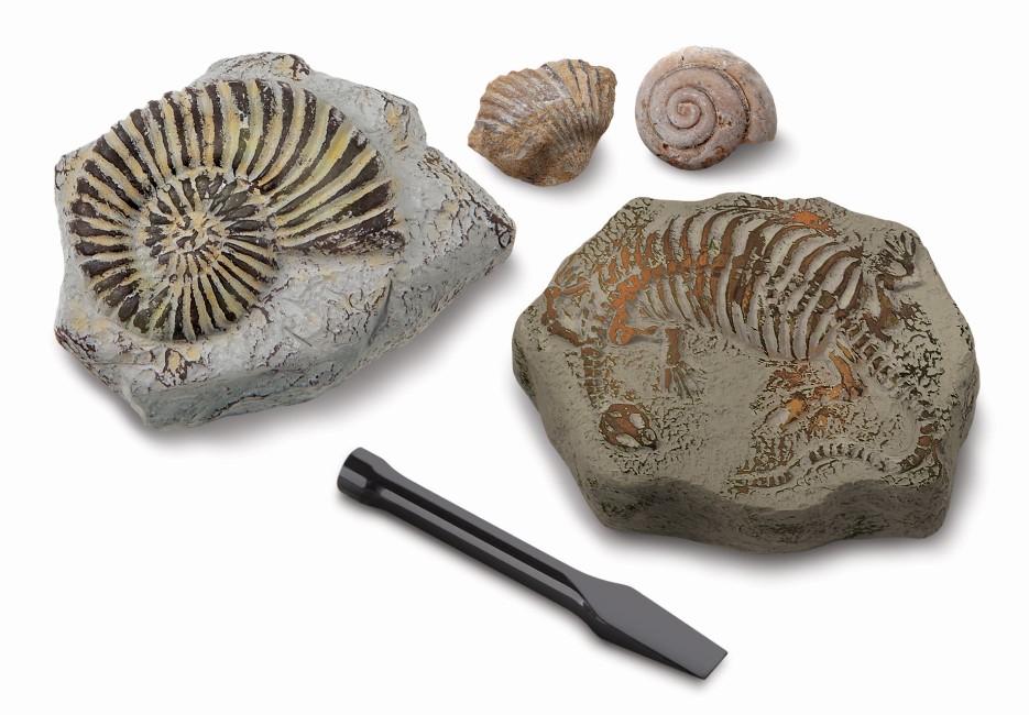 DISCOVERY KIDS MINDBLOWN MINI FOSSIL SET EXCAVATION KIT
