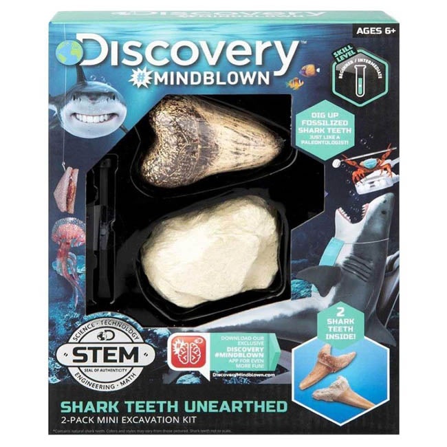 DISCOVERY KIDS MINI SHARK TOOTH EXCAVATION KIT