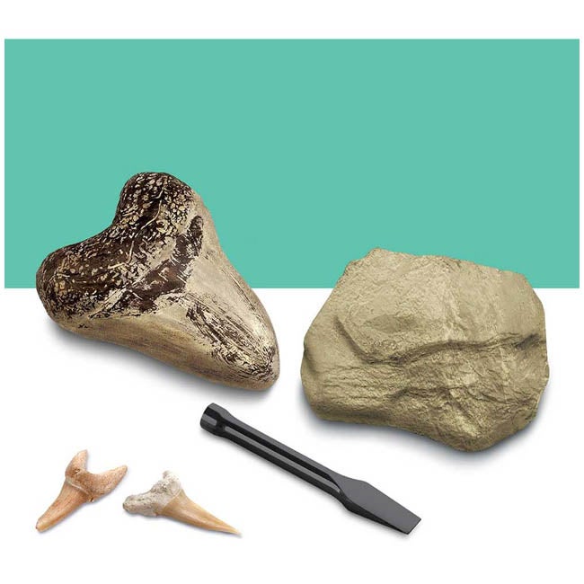 DISCOVERY KIDS MINI SHARK TOOTH EXCAVATION KIT