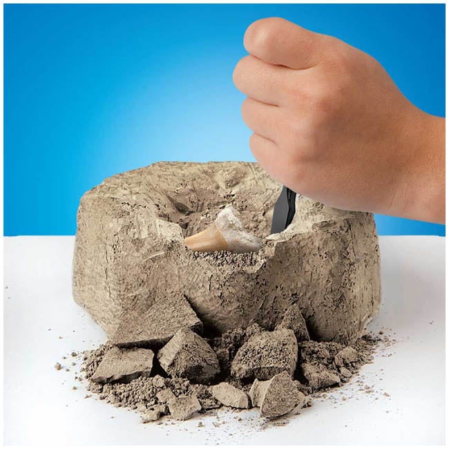 DISCOVERY KIDS MINI SHARK TOOTH EXCAVATION KIT