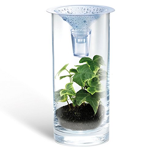 4M KIDZLABS GREEN SCIENCE CLEAN WATER SCIENCE