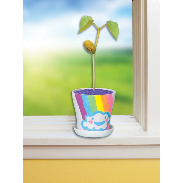 CREATIVITY FOR KIDS MAGIC BEAN GARDEN