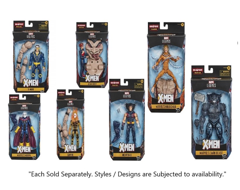 HASBRO MARVEL LEGENDS SERIES 6-INCH ACTION FIGURE