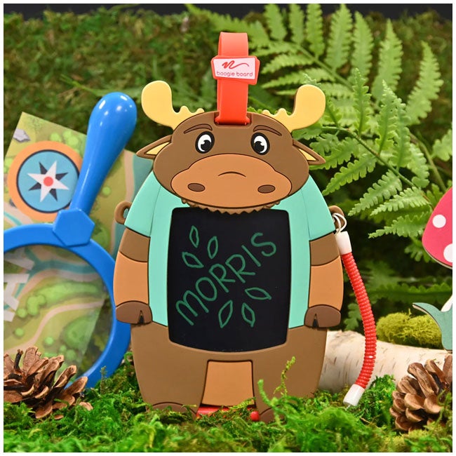BOOGIE BOARD SKETCH PALS FOREST FRIENDS MORRIS