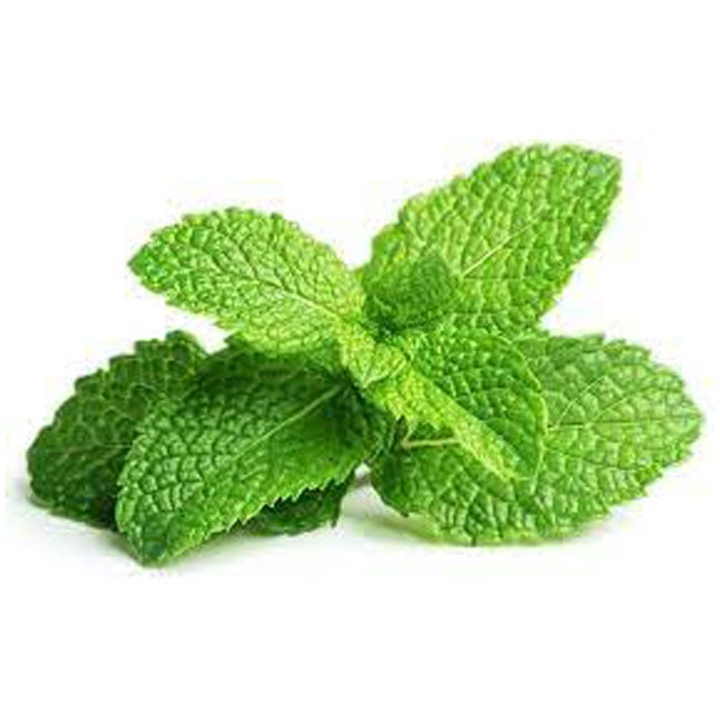 CLICK AND GROW PEPPERMINT PLANT PODS