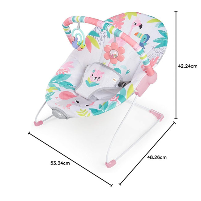 BRIGHT STARTS FLAMINGO VIBES VIBRATING BOUNCER