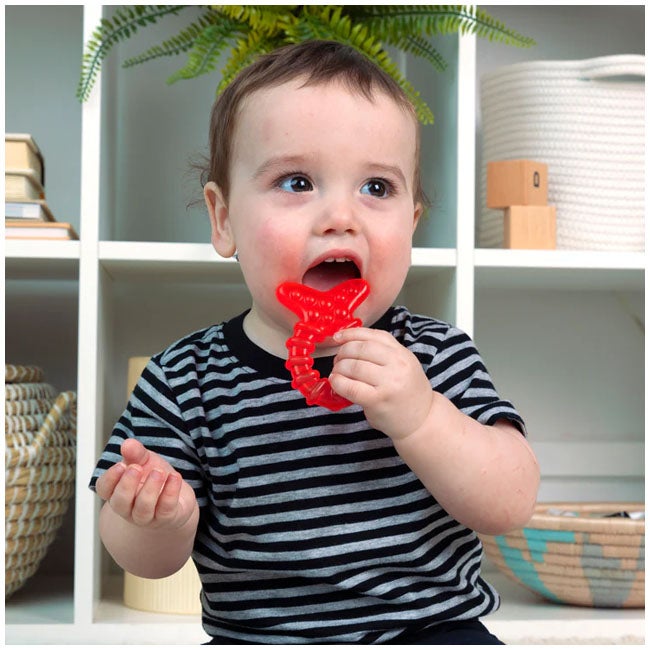 BABY EINSTEIN OCEAN EXPLORERS COOL CRITTERS TEETHER TOY
