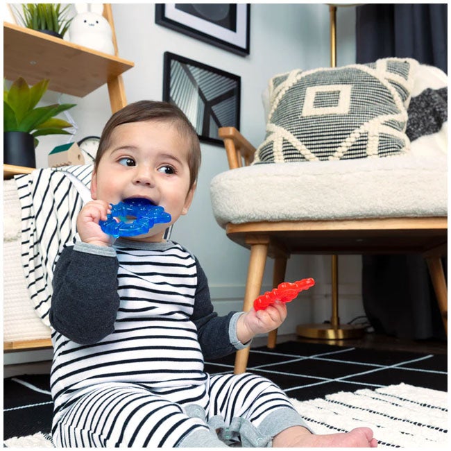 BABY EINSTEIN OCEAN EXPLORERS COOL CRITTERS TEETHER TOY
