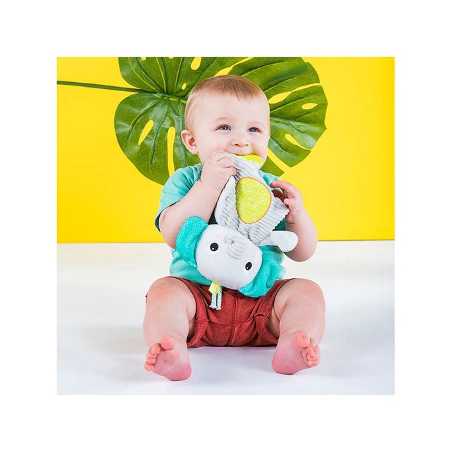 BRIGHT STARTS SNUGGLE AND TEETHE PLUSH TOY