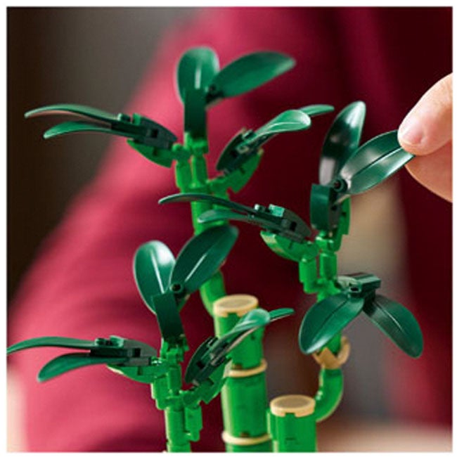 LEGO BOTANICALS LUCKY BAMBOO