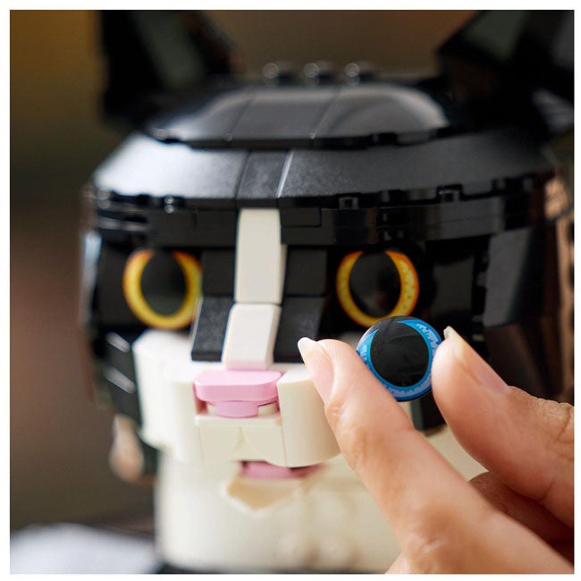 LEGO IDEAS TUXEDO CAT