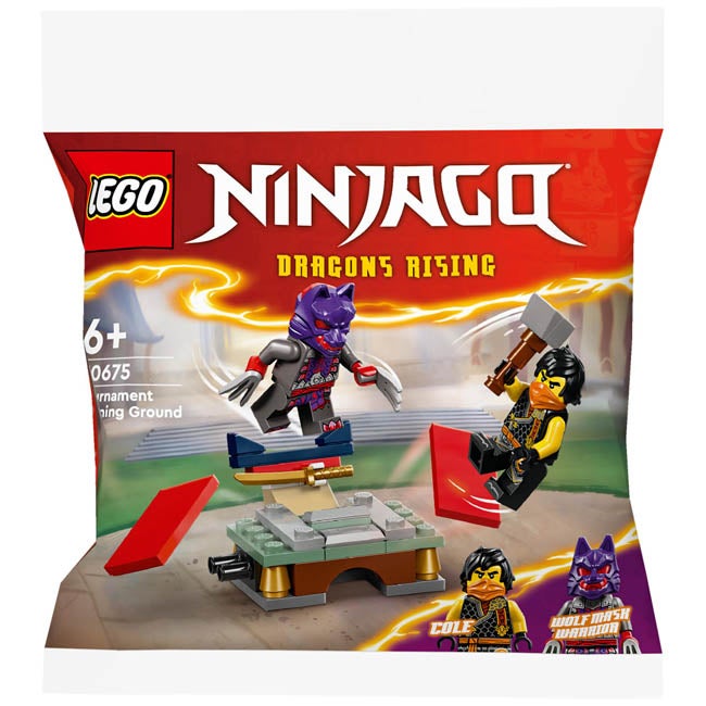 LEGO NINJAGO TOURNAMENT TRAINING GROUND