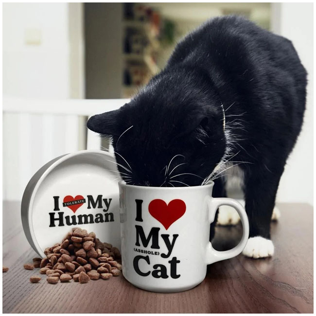 FRED HOWLIGANS - MUG+CAT BOWL-HEART CAT
