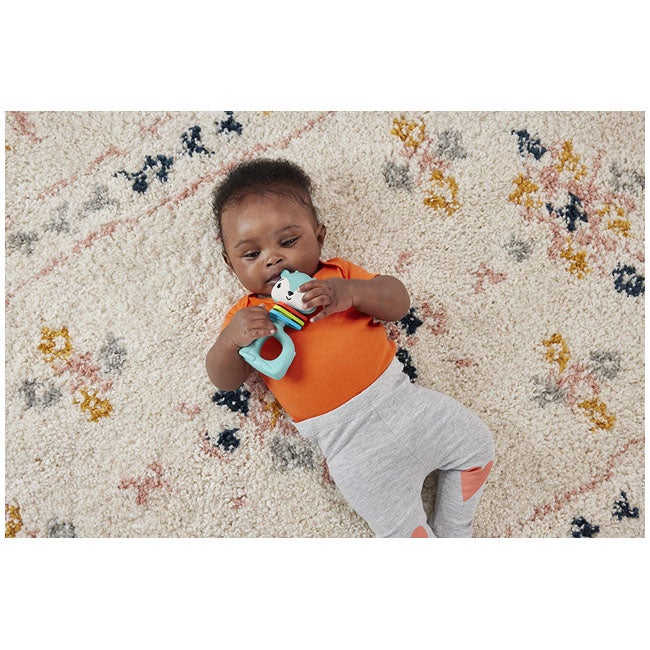 FISHER PRICE ANIMAL RATTLE TEETHER