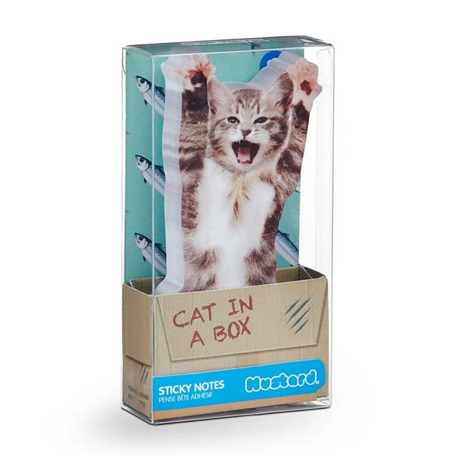 MUSTARD CAT IN A BOX