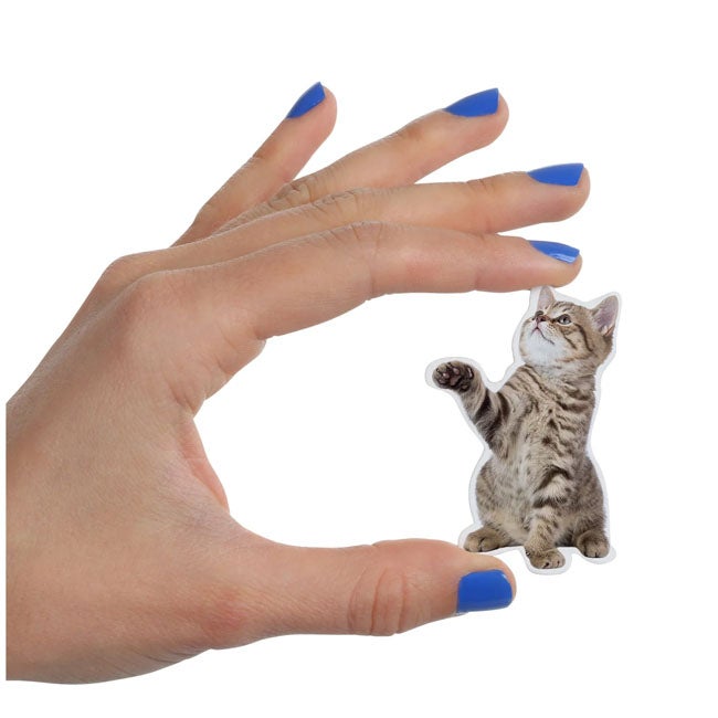MUSTARD ACTION CAT SHAPED MAGNETS SET OF 12