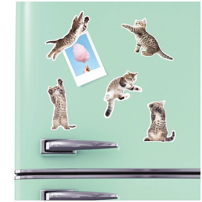 MUSTARD ACTION CAT SHAPED MAGNETS SET OF 12