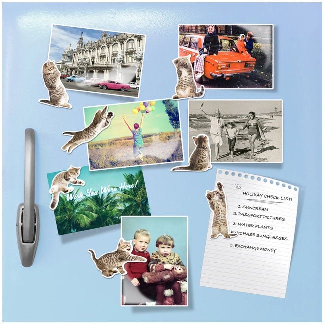 MUSTARD ACTION CAT SHAPED MAGNETS SET OF 12