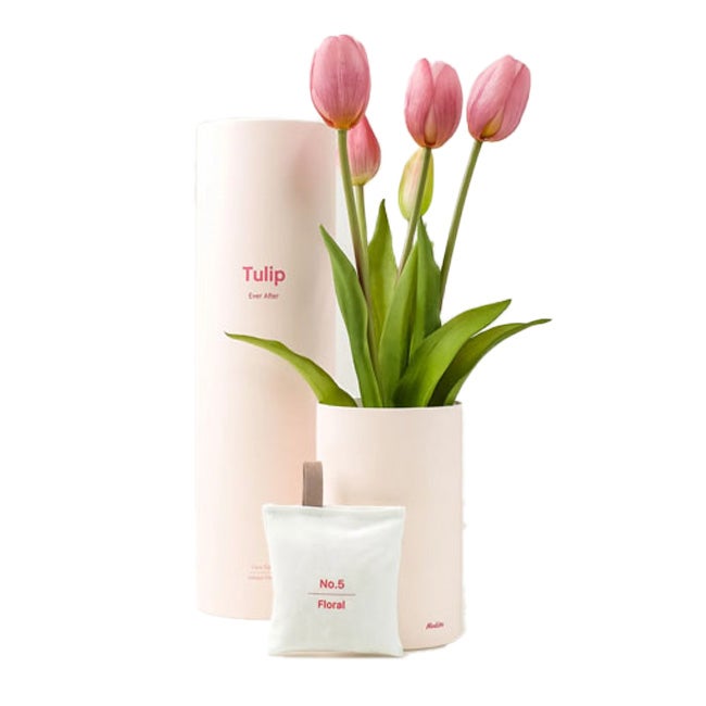 NODITO TULIP 5 STEMS WITH SACHET PINK FLORAL SCENT