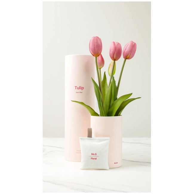 NODITO TULIP 5 STEMS WITH SACHET PINK FLORAL SCENT