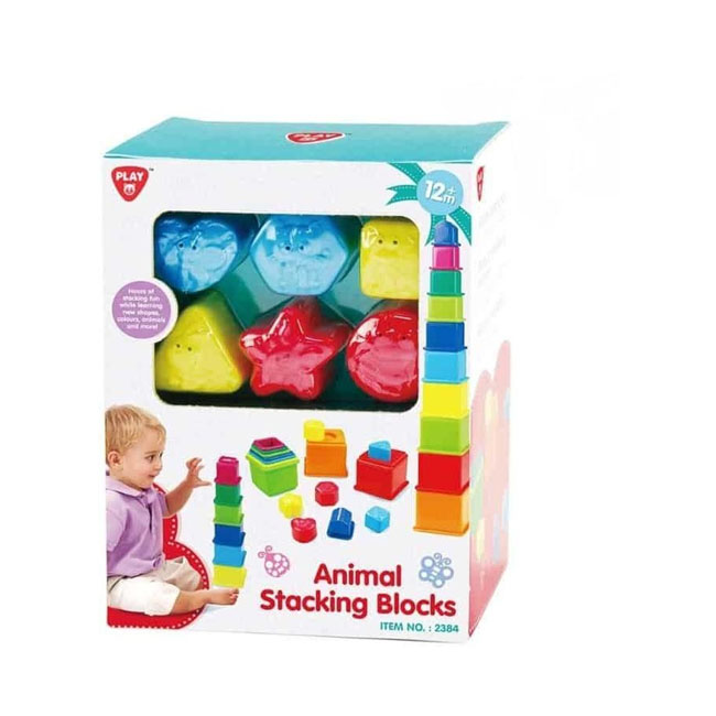 PLAY GO SORT & LEARN STACKING BLOCKS