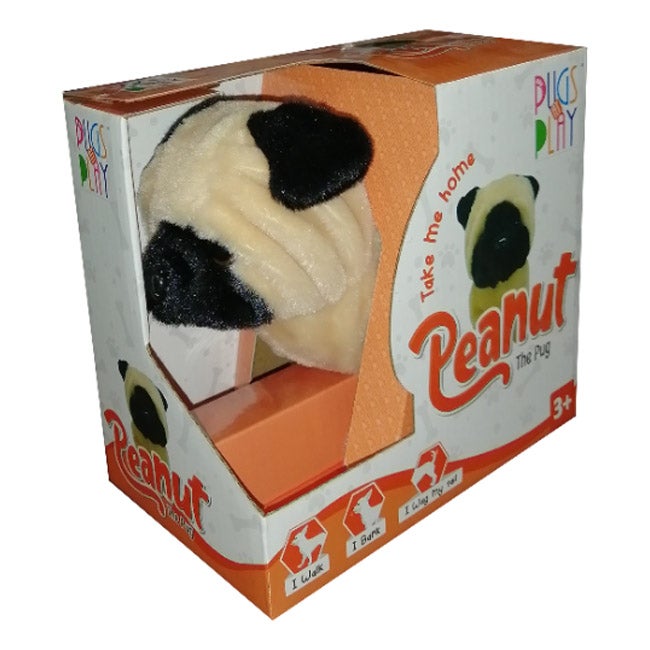 PUGS AT PLAY PEANUT THE PUG WALKING DOG