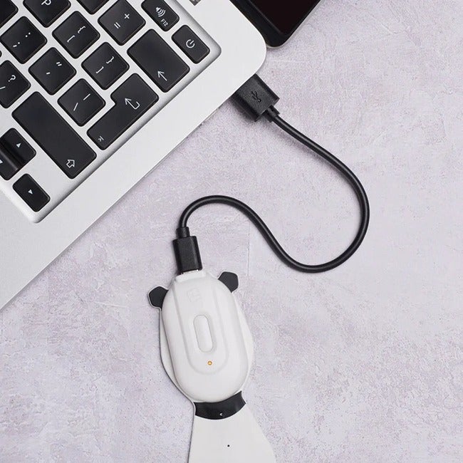 THINKING GIFTS FLEXILIGHT RECHARGEABLE PALS PANDA