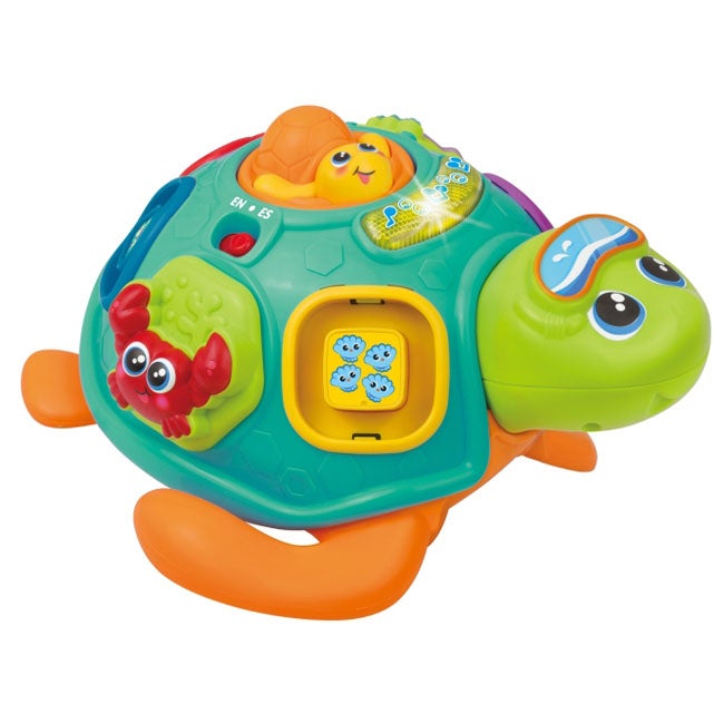 WINFUN PULL ALONG SORT N LEARN TURTLE